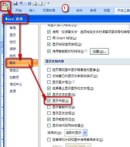 Word文档中的域1究竟指代什么？