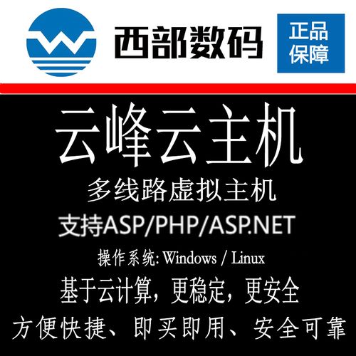 国内云虚拟主机服务哪家强？探索云峰的优势与挑战