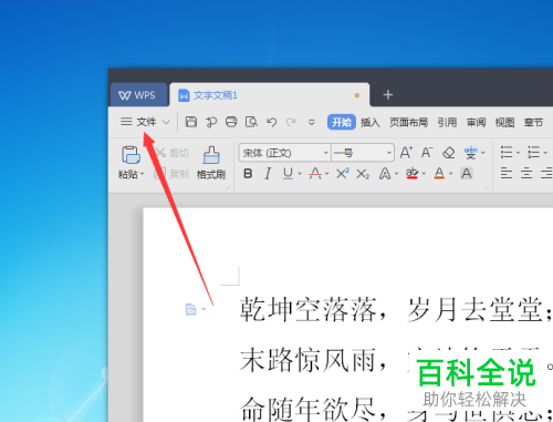 WPS演示中无法输入文字的原因何在？