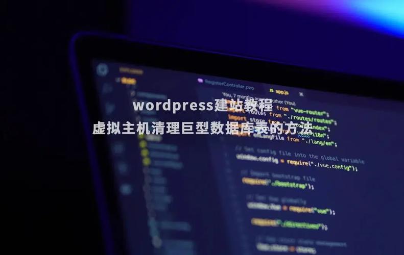 虚拟主机支持哪些编程语言和数据格式？