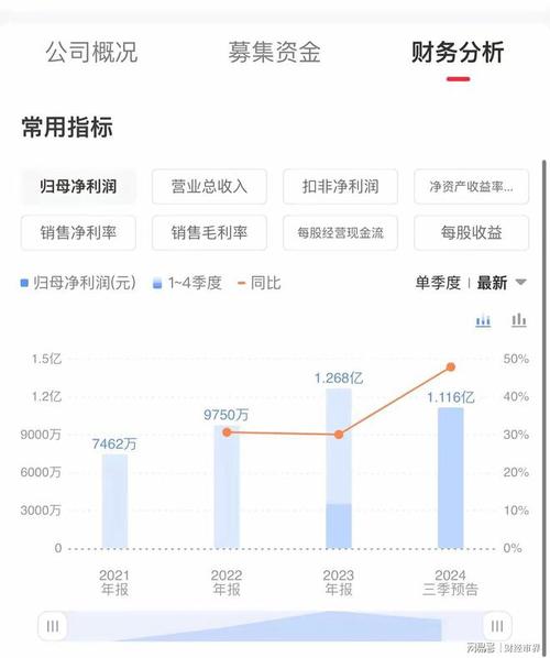 新股发行定价通常受哪些因素影响？