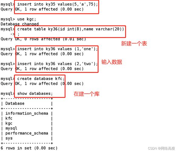 如何有效创建MySQL数据库的备份与还原点？