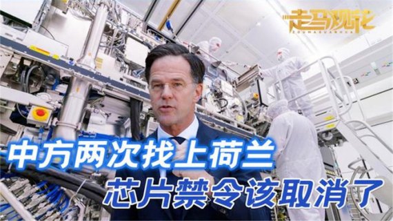 荷兰电话「如何拨打荷兰电话」-图3