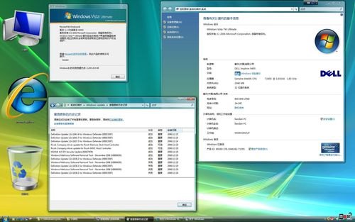 dell笔记本自带系统 dell笔记本vista系统-图1