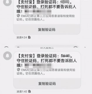 国外虚拟号码接收短信验证码「国际短信验证码平台」-图2