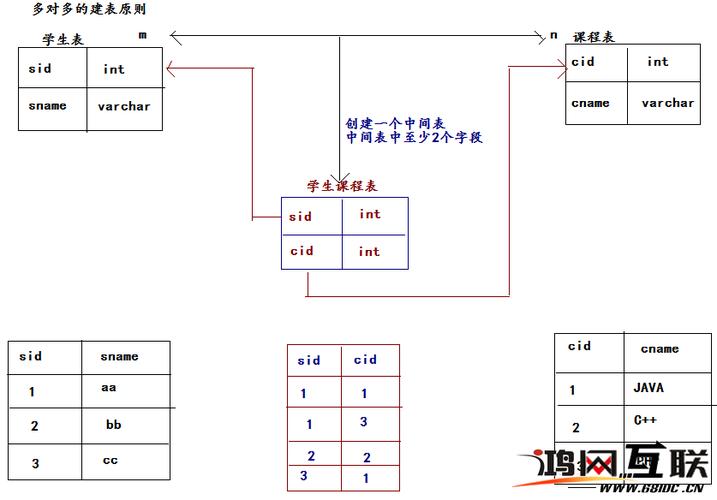 如何利用MySQL创建数据库表并建立它们之间的关联关系？