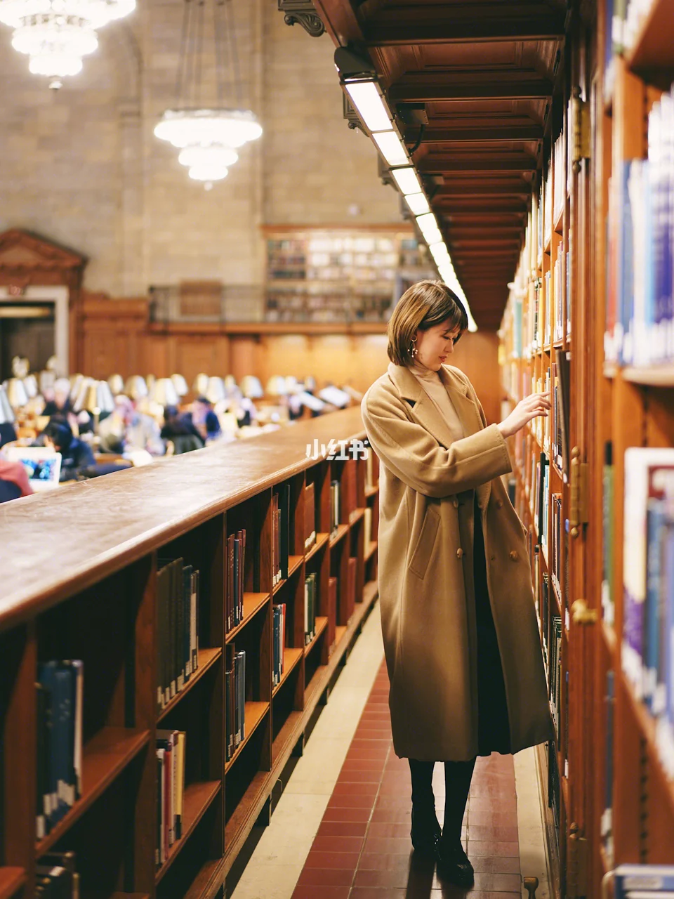 图书登记模板借阅表怎么填写_图书登记模板借阅表怎么填_图书借阅登记表模板