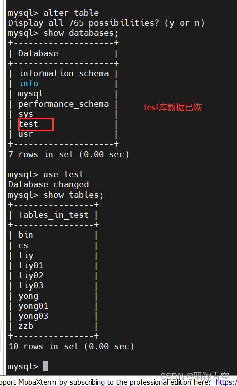 如何修复在执行mysqldump时遇到的SET @@SESSION.SQL错误并恢复MySQL转储文件？