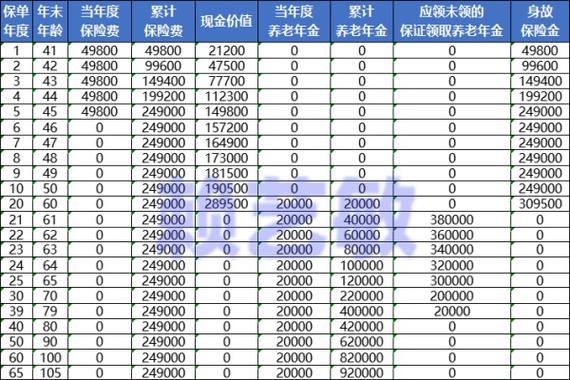 如何确定每年购买保险的合适预算？