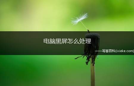 电脑屏幕为什么打不开_屏幕电脑打开就黑屏_电脑显示屏打开