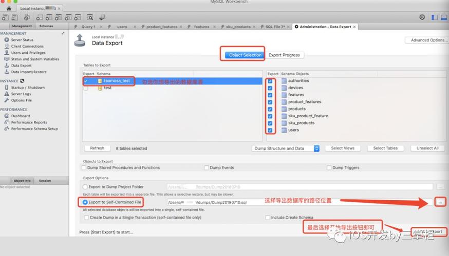 如何在Mac上使用MySQL导出数据库文件？