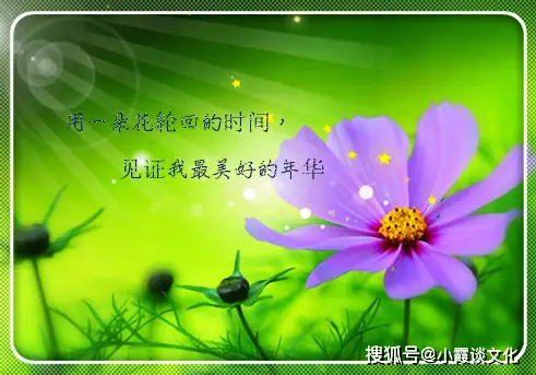 老胃病吧百度贴吧_老胃病怎么根治_老胃病 论坛