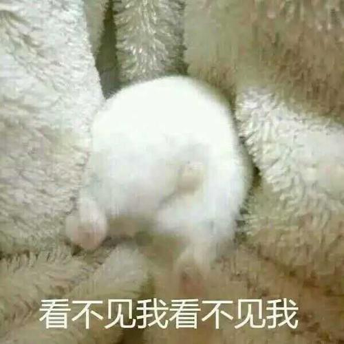 朋友圈里隐藏了哪些不为人知的秘密？