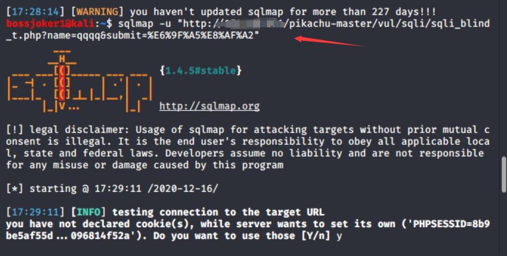 sql注入问题是什么意思