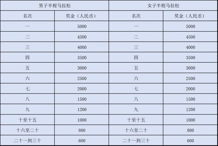 参与马拉松赛事需要支付多少费用？