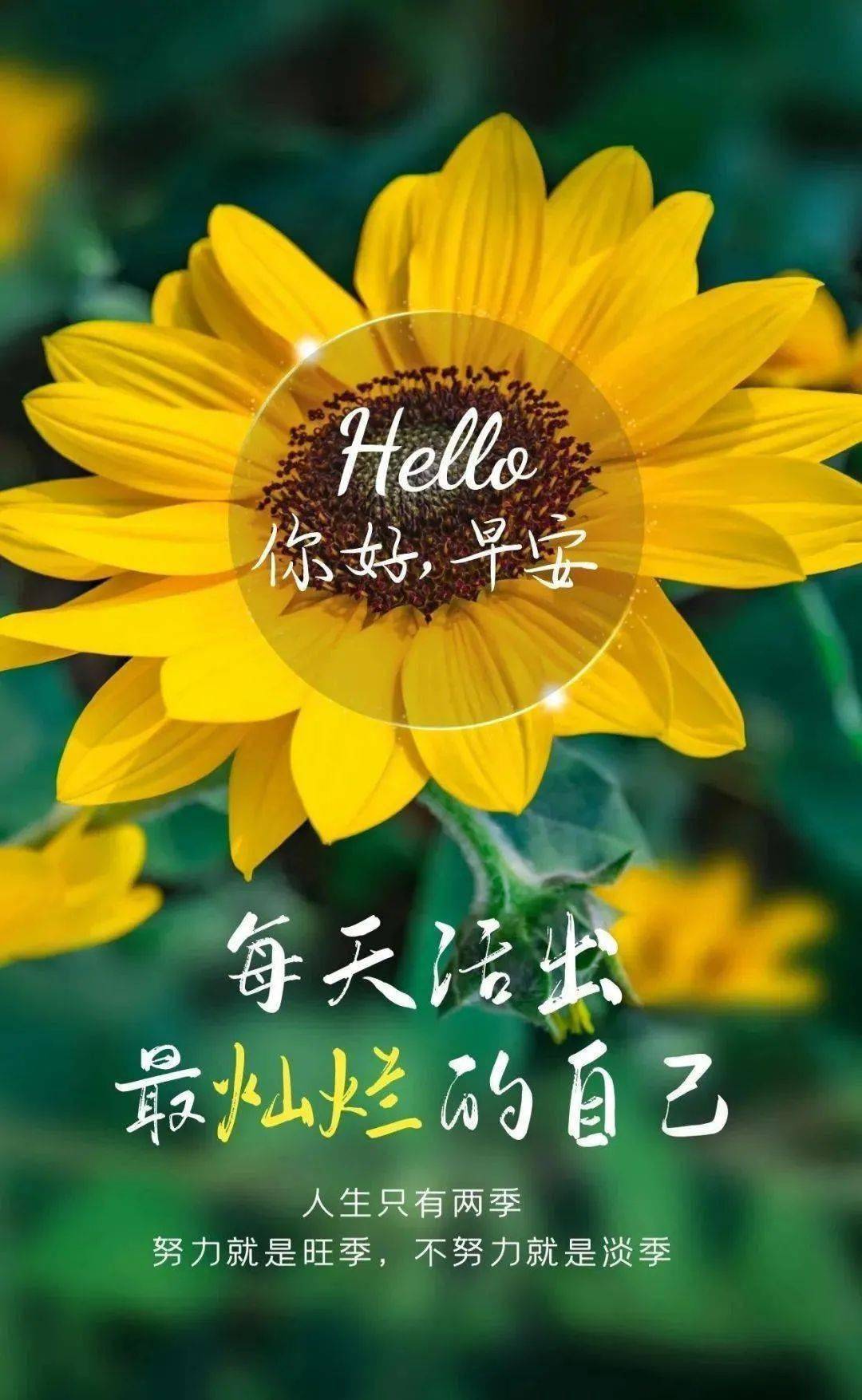 nexus7 4.4_nexus7 4.4_nexus7 4.4