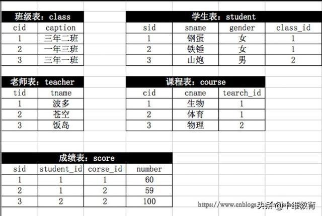 如何利用MySQL建立学生数据库以高效管理学生信息？