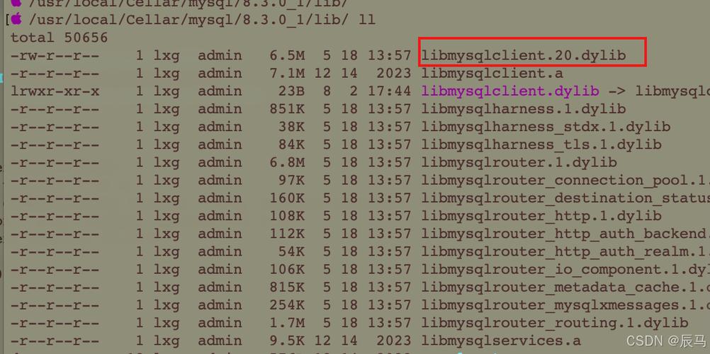 如何在Mac上配置MySQL数据库？