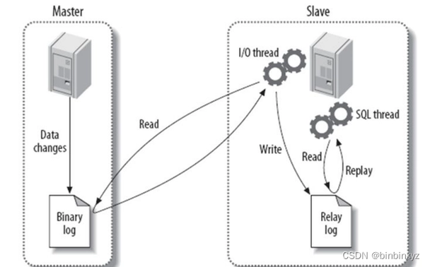 如何成功搭建MySQL数据库环境？