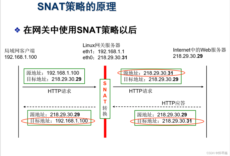 NAT网关的DNAT规则如何影响公网访问性能？