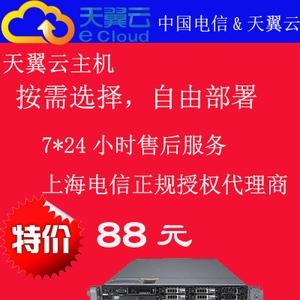 在定制双品牌云主机服务中，哪个品牌的性价比更高？
