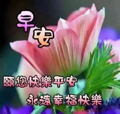 审核员_sms_sms审核