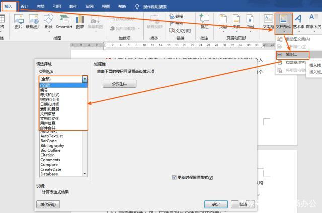 Word文档中的域1究竟指代什么？