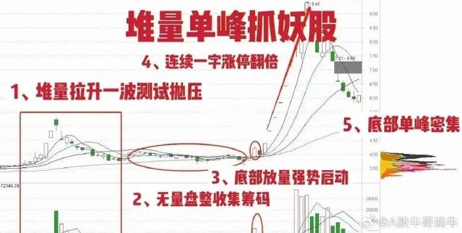 股市交易中一手股票通常包含多少股？