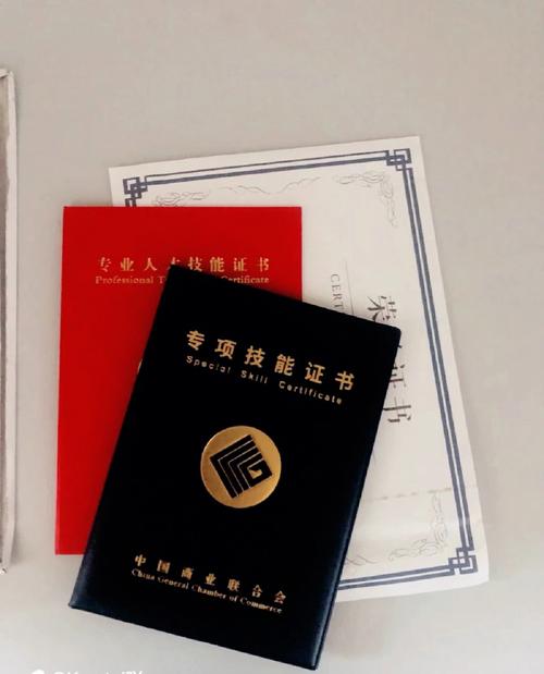 参加培训获取两个证书_HCCDX培训应如何参加