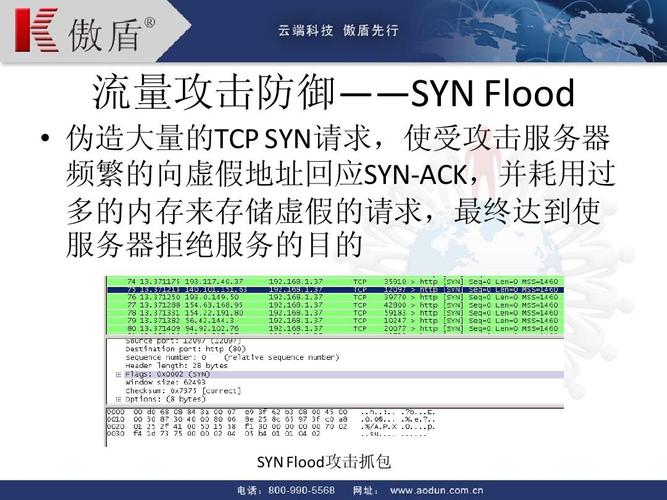 北京bgp多线机房_DDoS原生标准版、DDoS原生防护-全力防基础版、DDoS原生防护-全力防高级版功能规格有哪些差异？