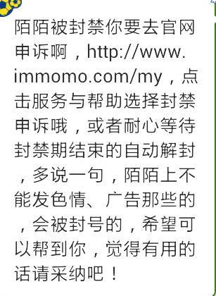 陌陌平台封号规定，哪些行为会导致账户被封禁？