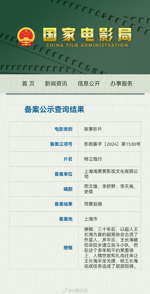 个人备案能否满足创建电影网站的法律要求？