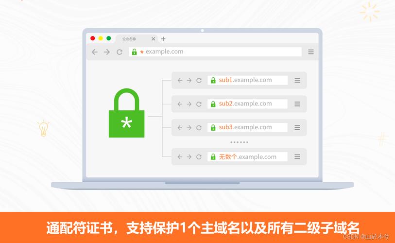 在申请SSL证书时，哪个域名选项更经济实惠？