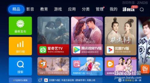 在华为电视上，爱奇艺应用的名称是什么？