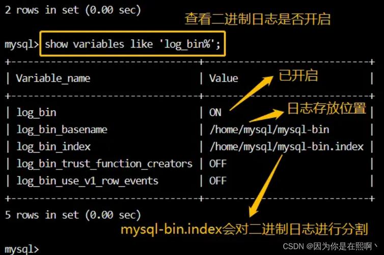 如何将MySQL数据库采集程序的日志有效接入？