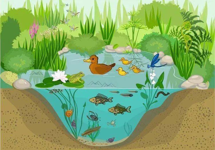 排名专业第一_排名专业前列_ecosystem science专业排名