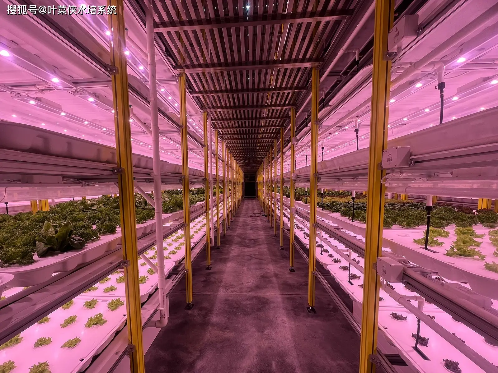 禁止启动项导致不联网怎么办_禁止启动项导致系统不能开机_nwiz可以禁止启动