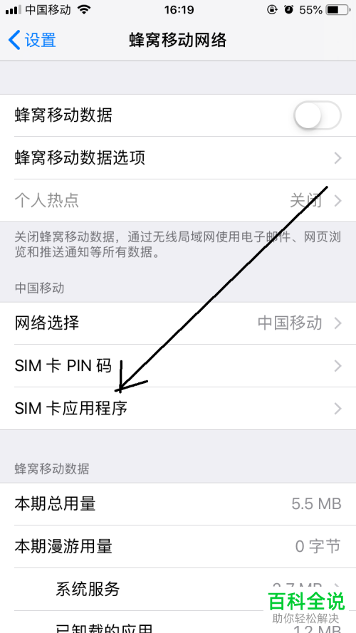 如何识别iPhone 5s使用的SIM卡类型？