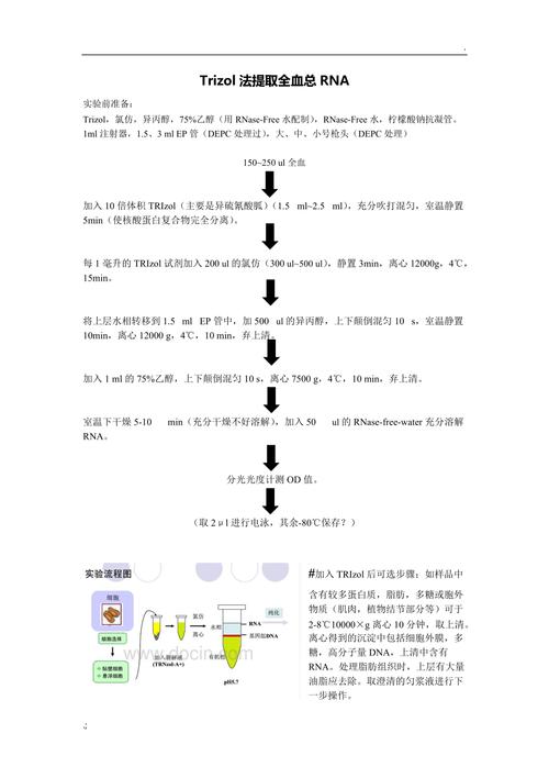 如何有效实施内容提取及其方法？