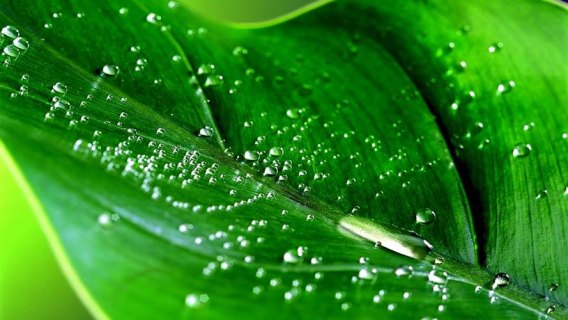 笔记本有水珠-图1