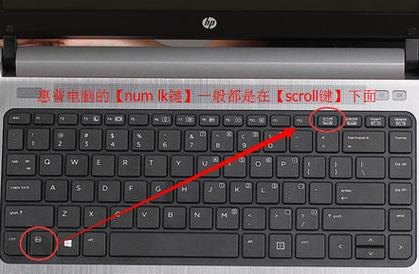 笔记本fn+f6_笔记本fn+esc是什么功能-图1