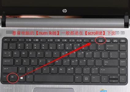 笔记本怎么输入软数字_笔记本怎么打数字-图2