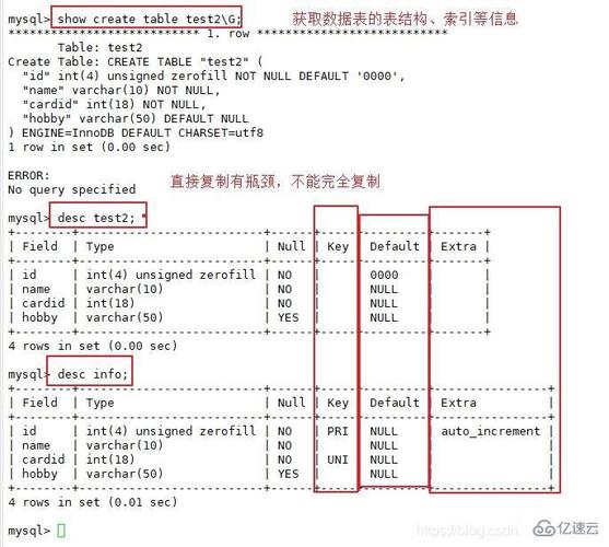 如何使用MySQL命令高效导出数据库表？