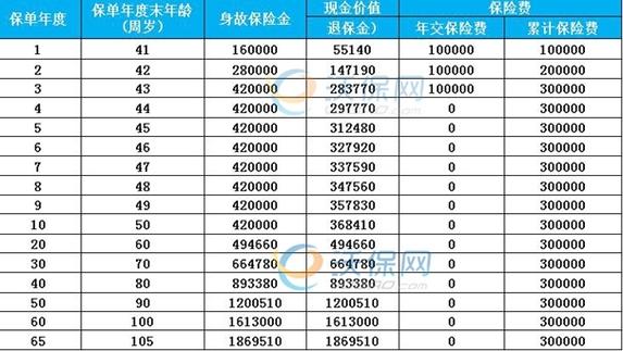 人寿全险的年费标准，如何确定合适的保费投入？