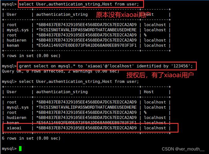 如何解决MySQL新建数据库时的无权限问题？