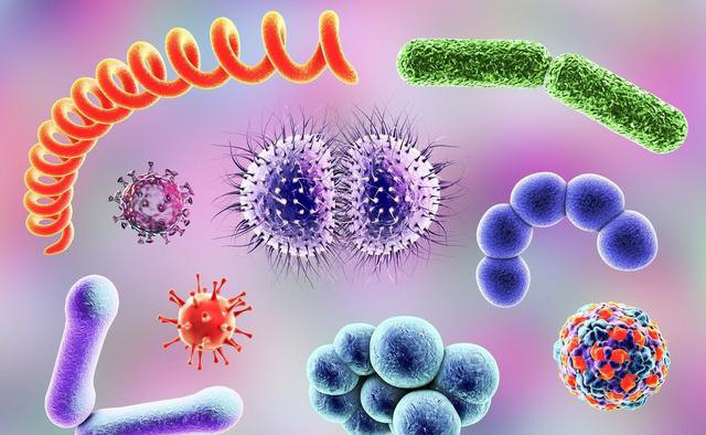 儿童肺炎的治疗时间_儿童肺炎疗程_小儿肺炎治疗周期