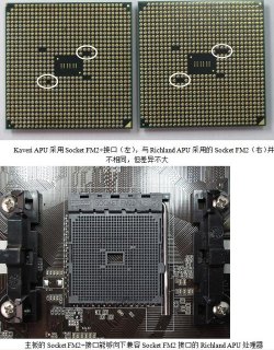 amd针脚大全 amd笔记本apu针脚-图2
