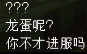 服务器中的龙蛋争夺战，这个流行梗从何而来？