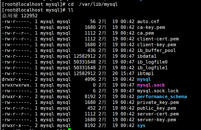 MySQL数据库中_Mysql数据库目录的作用是什么？