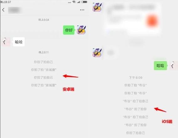 微信群聊中为何无法针对特定人进行拍一拍操作？